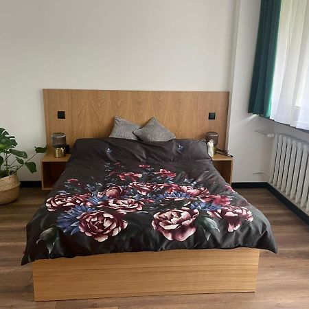 Apartamenty Nadrzeczna 14 Karpacz Kültér fotó