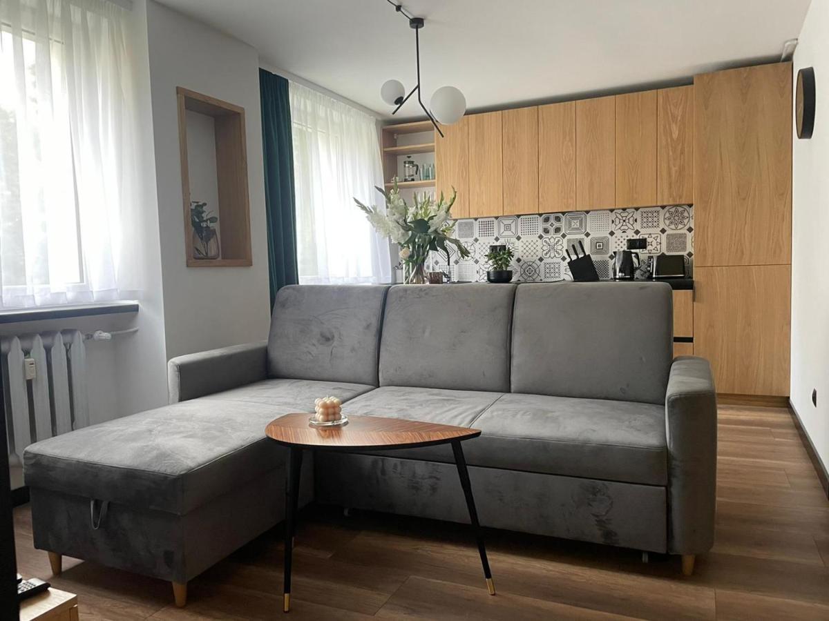 Apartamenty Nadrzeczna 14 Karpacz Kültér fotó
