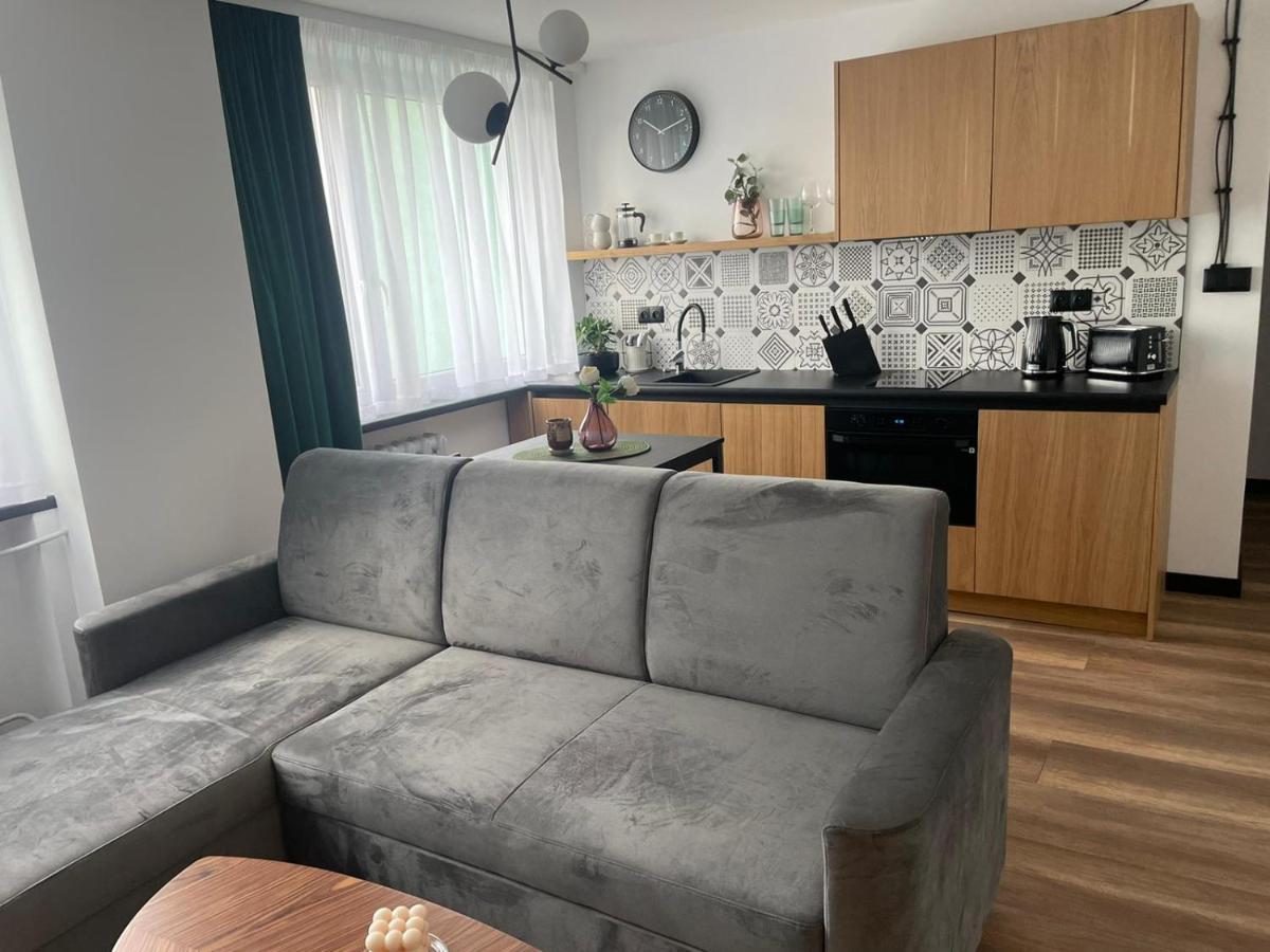 Apartamenty Nadrzeczna 14 Karpacz Kültér fotó